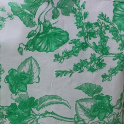 Chemise Homme Botanique